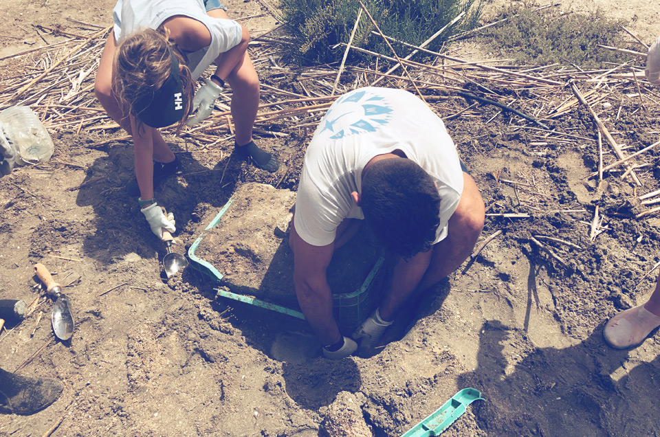 Recogida de residuos en Isla Perdiguera con la Fundación SOS